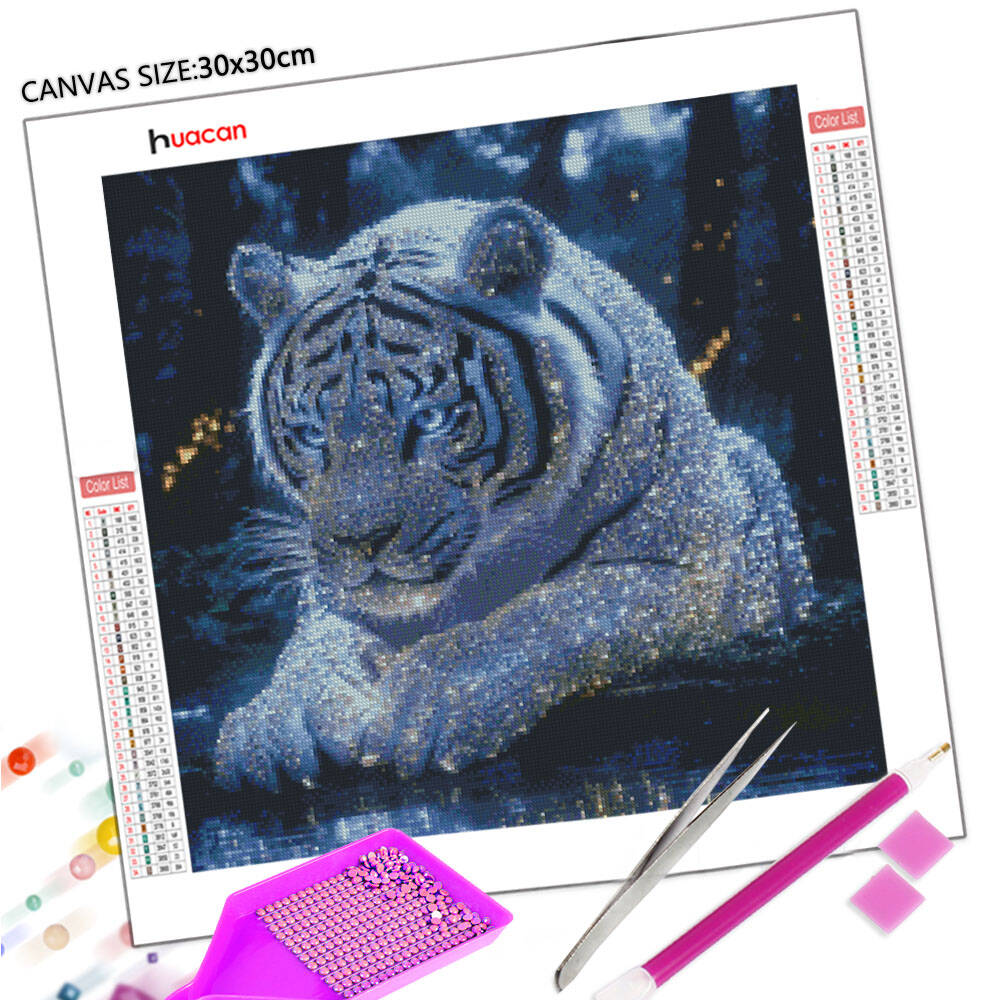 HUACAN-イルカの空のダイヤモンド絵画,海と夕日の刺em - Resin Art Wallpaper のレビューと価格