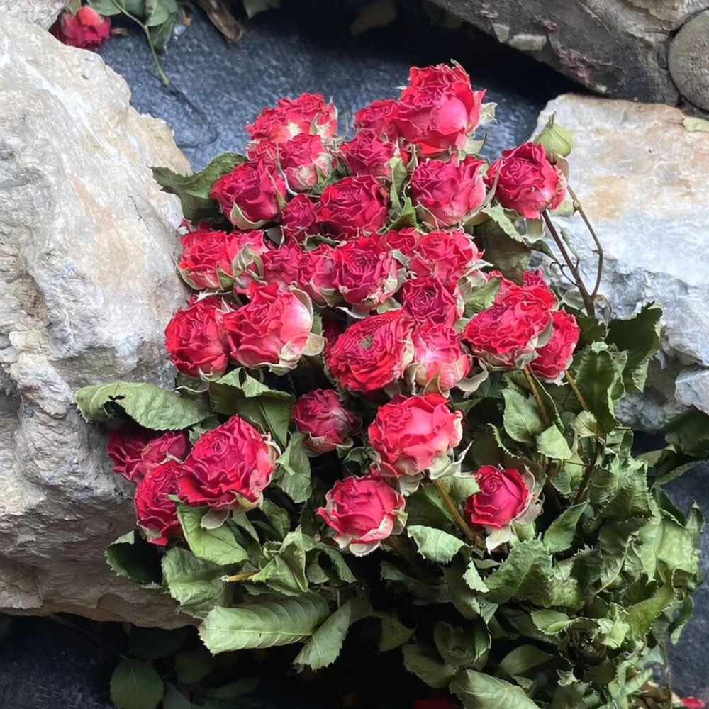 天然のドライローズの花束。エポキシ樹脂を使ったアート作品、ス - Resin Art Rose のレビューと価格