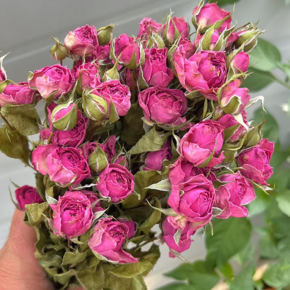 天然のドライローズの花束。エポキシ樹脂を使ったアート作品、ス - Resin Art Rose のレビューと価格
